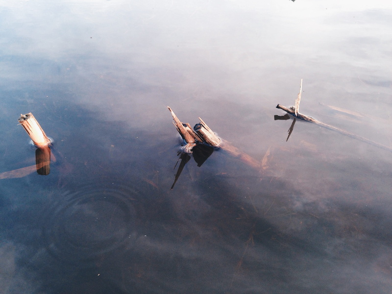 water, puddle, plane, wood, westerbork, branch, minimal, military, lake, cooperation, tree, mode of transportation, cloud - sky, outdoors, rain, soft, pond
