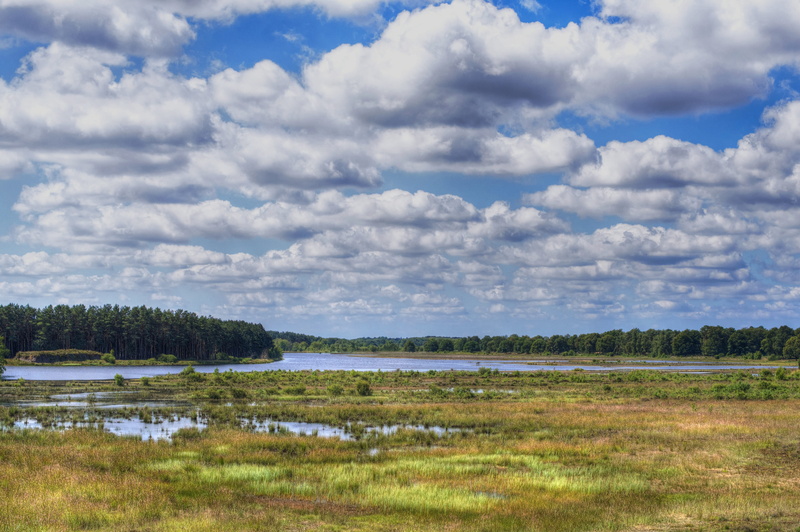 netherlands, sky, nature, countryside, tranquility, tranquil scene, swamp, water, sea, tree, clouds, cloudscape, non-urban scene, day, plant, hdr, land