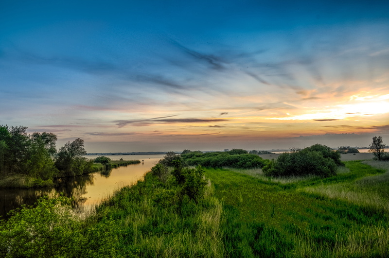 water, plant, panoramic, tree, sunset, drenthe, no people, landscape, netherlands, natural, outdoors, sky, nature, beauty in nature, tranquility, 4K, sunny