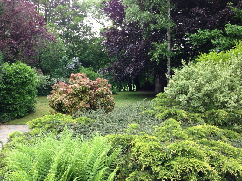 drenthe, lawn, idyllic, scenics - nature, garden, nature, green color, outdoors, 1080P, tranquility, growth, flower, tranquil scene, day, lush foliage