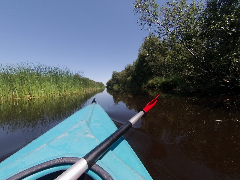kayak, blue, water, netherlands, kanoeing, growth, mode of transportation, nautical vessel, no people, clear water, 2K, paddle, sea, lake, reflection