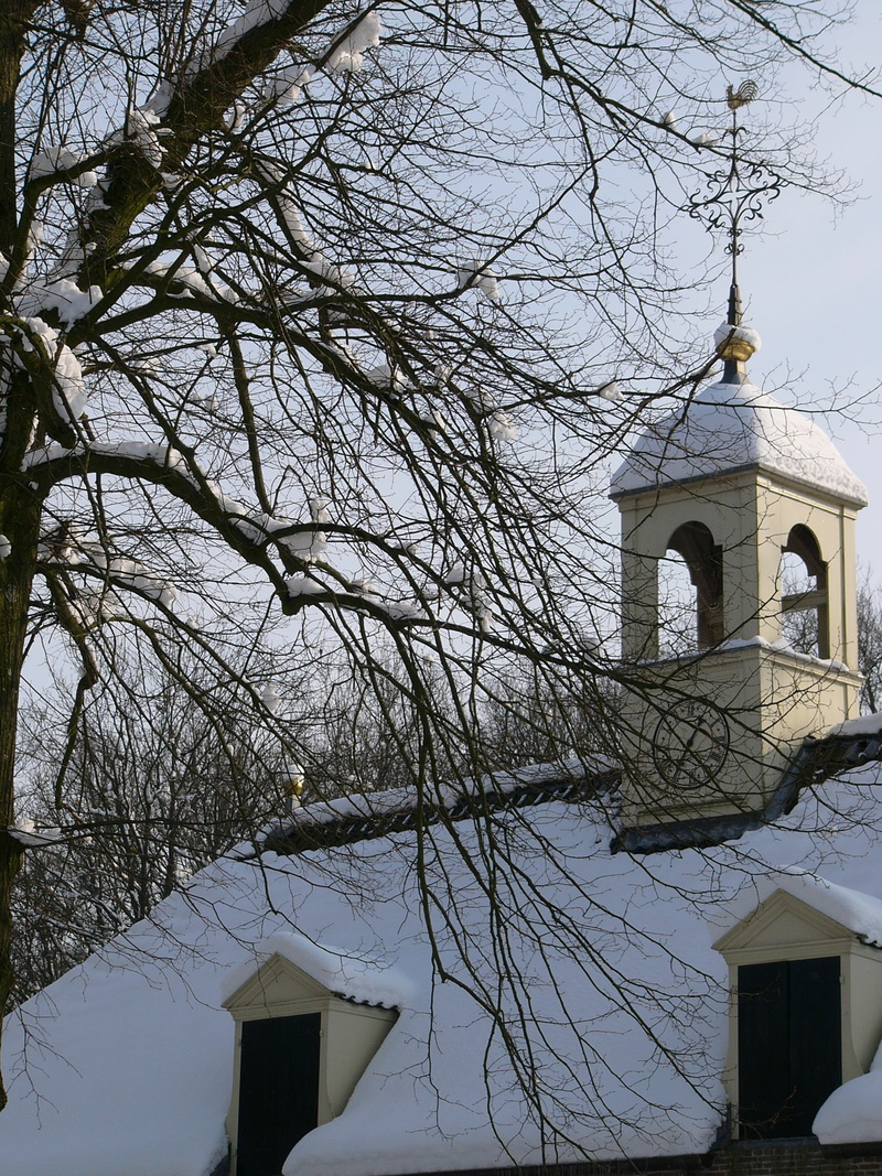 branch, ze, belief, christianity, cross, plant, frost, snow, zing, no people, architecture, december, outdoors, snowy, nature, building, low angle view