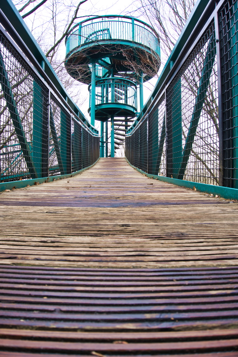 5K, drenthe, built structure, direction, empty, day, bridge - man made structure, bridge, outdoors, footpath, trees, steel, ceiling, footbridge, transportation