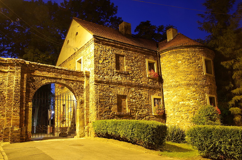 building exterior, castle, monument, tower, concrete, the gothic, facade, tree, stone, nature, built structure, old, window, building, luxury, house, poland