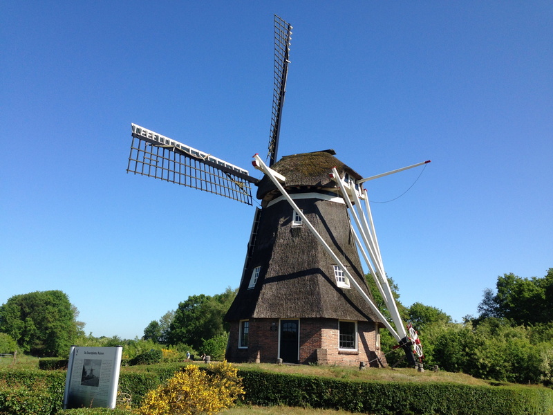 history, wind power, land, netherlands, wind turbine, Drenthe, blade, outdoors, environment, wind mill, Mill, wind, tree, Nature, blue sky, 2K, plant
