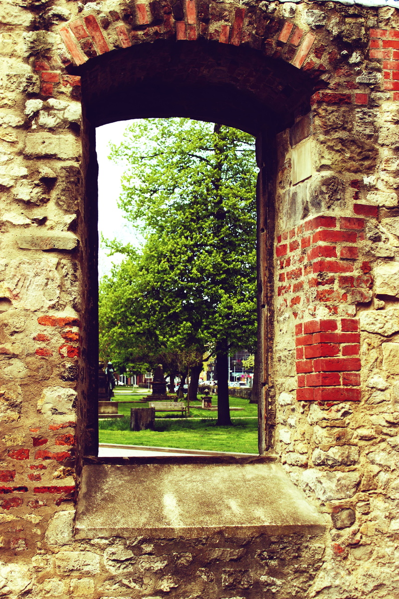 day, growth, building, courtyard, wall - Building Feature, frame, plant, no People, Wall, Vintage, outdoor, italy, stone Material, outdoors, ancient, entrance
