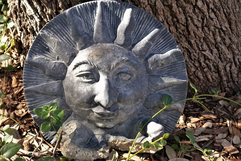 tree trunk, plant, creativity, representation, portrait, statue, mammal, sculpture, one animal, close-up, no people, human representation, blue, animal wildlife