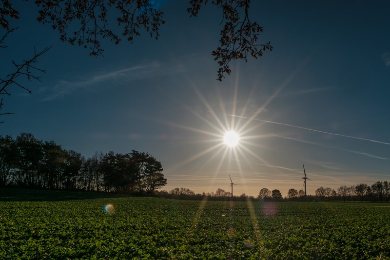 tree, ray, environment, sunbeam, sunlight, sun, tranquility, land, sky, growth, landscape, lens flare, flare, grass, 1080P, tranquil scene, outdoors, star