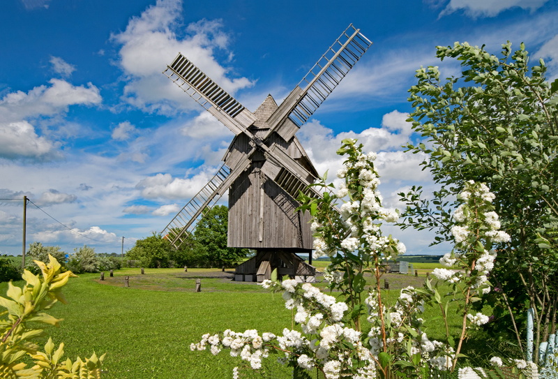 building, summer, field, agriculture, environment, garden, renewable energy, plant, cloud - sky, flowers, countryside, clouds, built structure, alternative energy