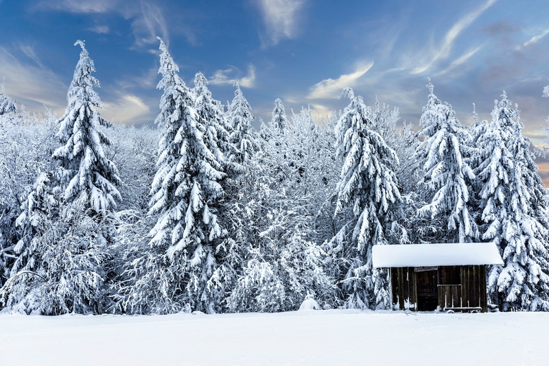 house, forest, winter, ate, snow, Germany, Thuringia, Schmalkalden-Meiningen, hut, 2K