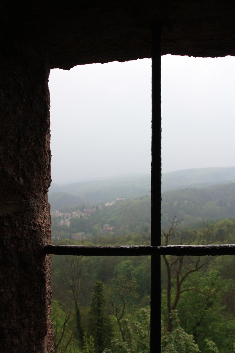 scenics - nature, non-urban scene, cultural heritage, tree, wartburg castle, plant, mountain, fog, tranquility, landscape, grid, 4K, nature, tranquil scene