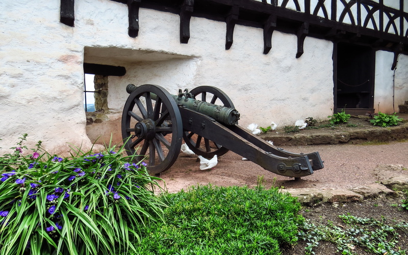 wheel, eisenach, pigeons, grass, wall, 4K, tire, old, built structure, mode of transportation, wood - material, growth, outdoors, flower, architecture