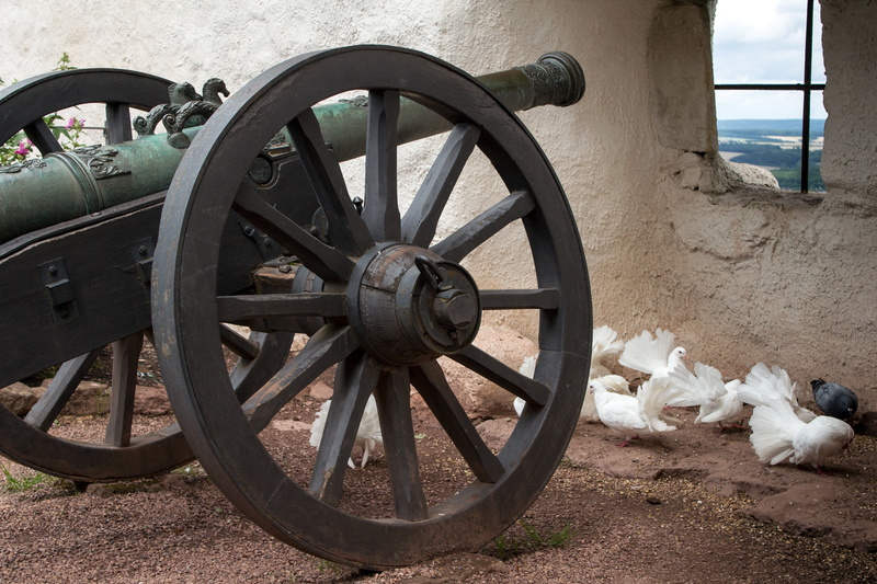 wagon wheel, field, no people, weapon, transportation, metal, cart, day, outdoors, mode of transportation, 4K, pigeons, eisenach, land, history, cannon