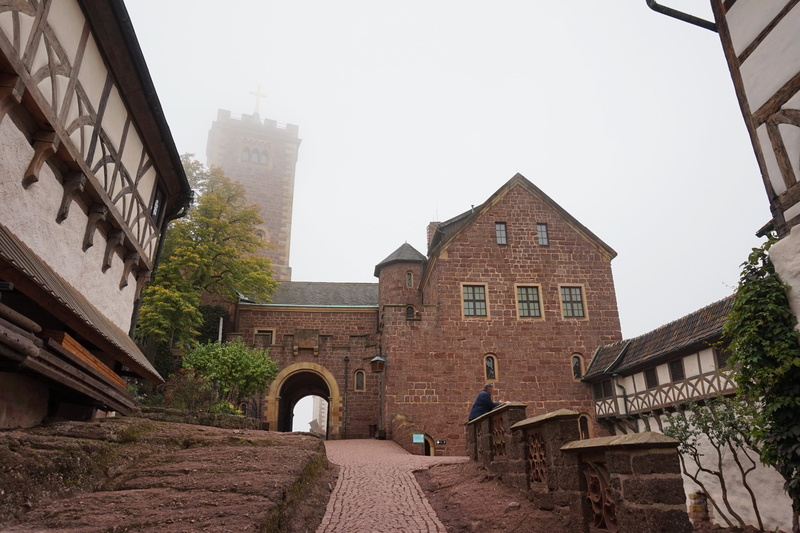 brick, wartburg, eisenach, sights, day, residential district, tree, 5K, low angle view, castle, wall, germany, outdoors, europe, city, nature, architecture