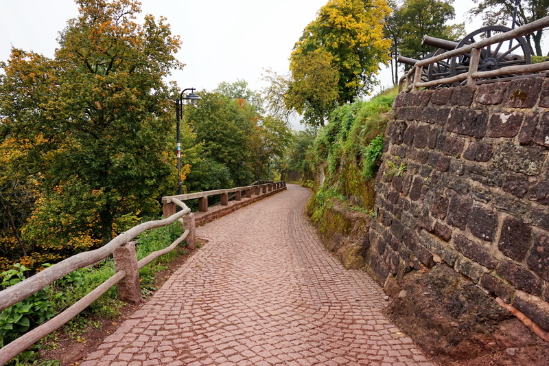 plant, nature, germany, empty, the fortress of wartburg, clear sky, sky, footpath, no people, architecture, outdoors, diminishing perspective, green color