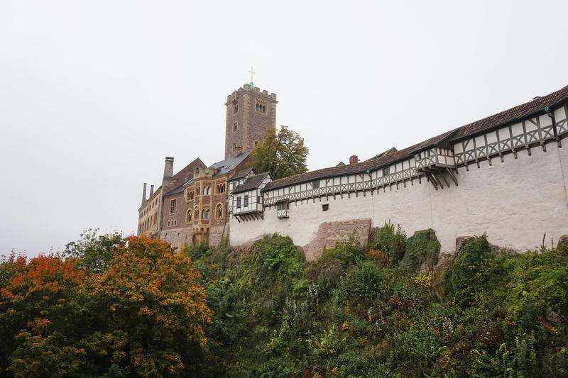 travel destinations, city, growth, copy space, clear sky, history, eisenach, 5K, building, the fortress of wartburg, day, germany, no people, tree, plant