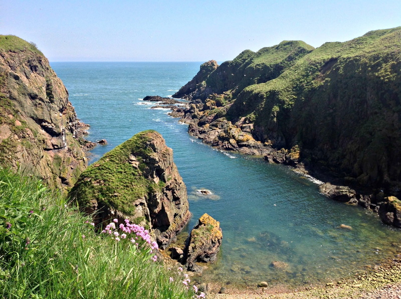 idyllic, bullers of buchan, high angle view, scenics - nature, aberdeen, horizon, sea, plant, outdoors, scottish, horizon over water, landscape, nature