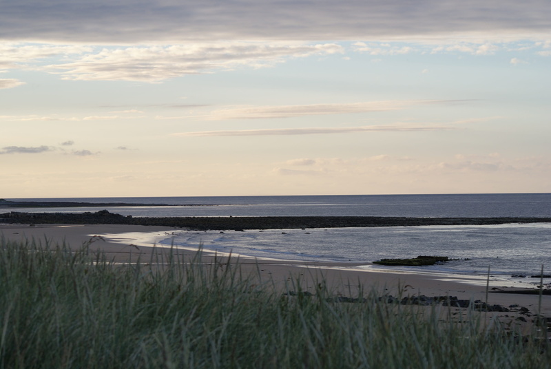sky, horizon, no people, non-urban scene, sunset, sea, idyllic, plant, nature, land, fraserburgh, beach, horizon over water, marram grass, 4K, water, beauty in nature