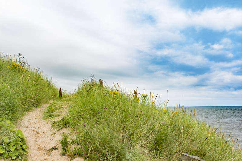 scotland, sky, dunes, marram grass, horizon, beach, landscape, environment, scenics - nature, aberdeen, ocean, hills, sand, tranquility, body, sunshine
