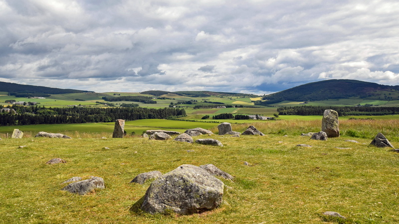 animal, sky, old, group of animals, domestic, nature, large group of animals, grass, land, historically, herd, cloud - sky, plain, clouds, meadow, blue