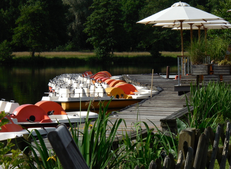 seat, pedal boats, drive pedal, cafe, sport, nautical vessel, borken, lake, transportation, day, plant, chair, pedal boat, moored, reflection, boot, sunlight
