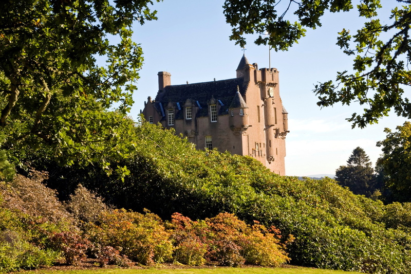 sky, castle, sunlight, low angle view, travel destinations, drum castle, architecture, building exterior, nature, travel, building, growth, no people, plant