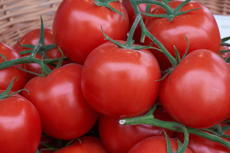 tomato, freshness, food and drink, healthy eating, group of objects, no people, indoors, gemene, plant stem, large group of objects, healthy, vegetarian food