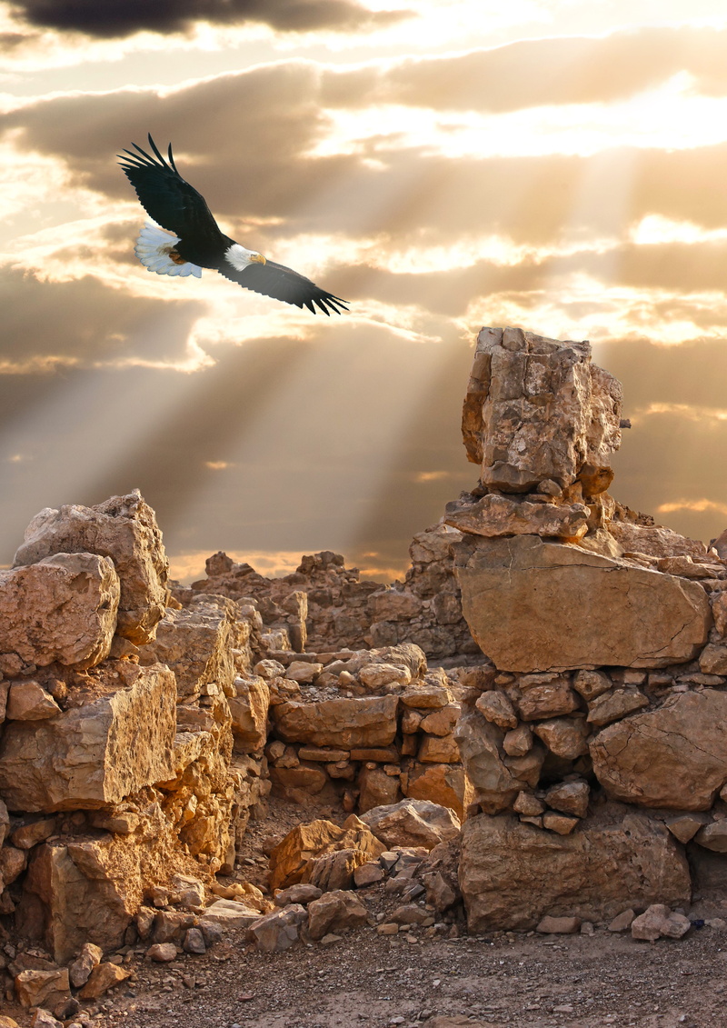 memory, sunset, nature, no people, bird, mid-air, stronghold, beauty in nature, seagull, 8K, animal themes, rubble, animals in the wild, stones, cloud - sky
