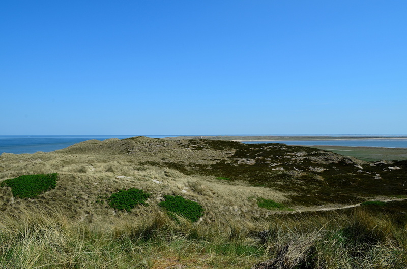 island, dunes, island end, water, sylt, grass, beauty in nature, grasses, coast, tranquil scene, dune landscape, scenics - nature, non-urban scene, outdoors
