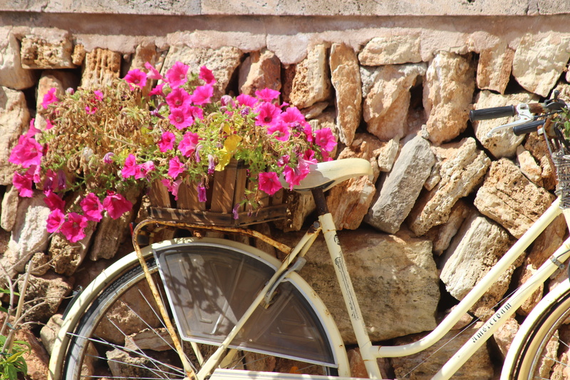 flower pot, spain, Holiday, freshness, cala figuera, old town, building, wall, pink color, architecture, close-up, outdoors, figuera, flower, built structure