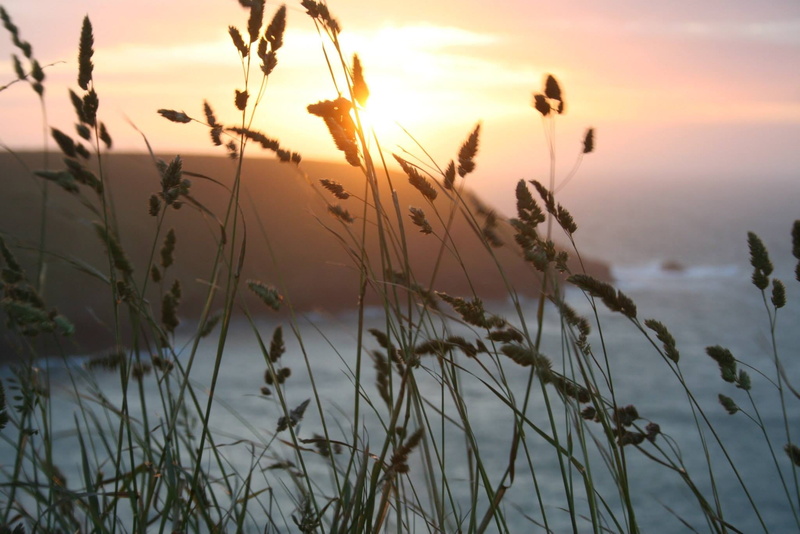 crop, no people, tranquility, summer, tranquil scene, plant, focus on foreground, beauty, yellow, wheat, cloud - sky, beauty in nature, land, cliffside