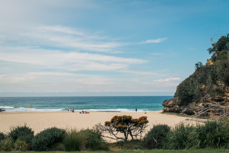 horizon, sand, australia, cloud - sky, 5K, tree, cliffside, horizon over water, land, nature, plant, beauty in nature, outdoors, day, summer, tamarama beach