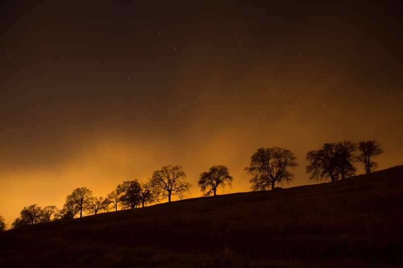 top, plant, non-urban scene, nature, astronomy, space, dawn, star - space, orange Color, land, golden hour, landscape, night, idyllic, beauty In Nature