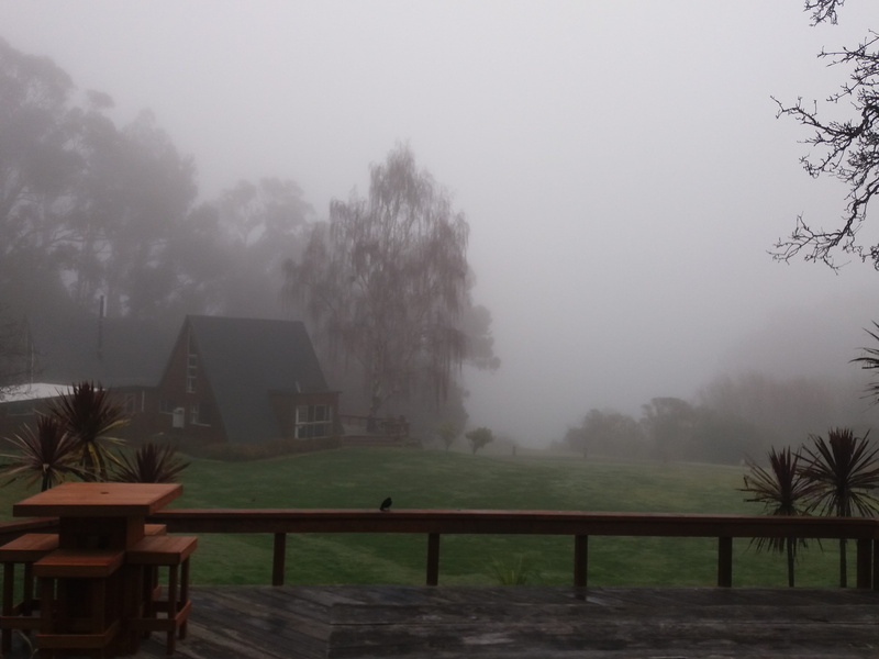 outdoors, seat, 4K, environment, akaroa, hazy, day, table, plant, wood - material, mist, rainy season, tranquil scene, architecture, sky, no people, tranquility