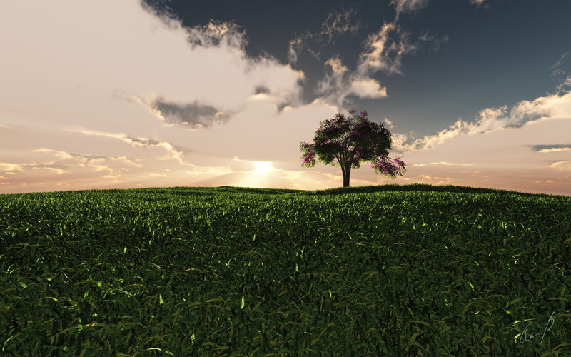 hill, nature, sunrays, sky, art, view, grass, 1080P, Godrays, fields, hd, Clouds, hilltop