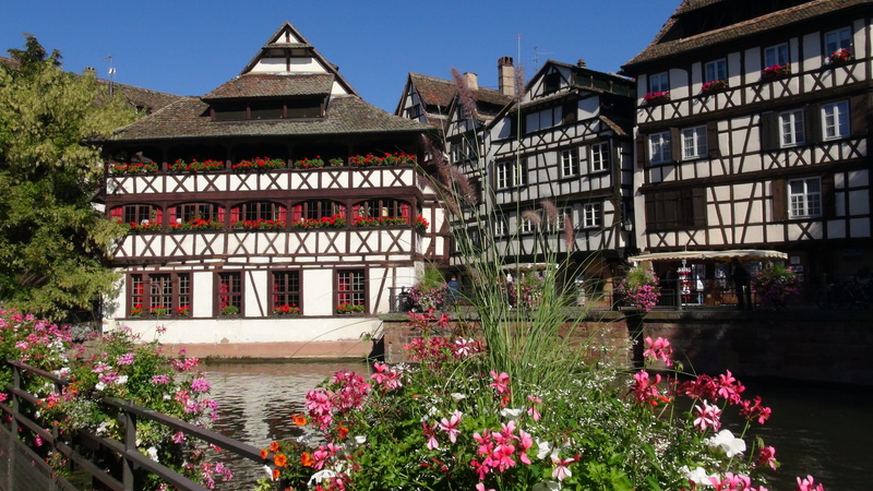 nature, 5K, built structure, flowerbed, near, flowering plant, wooden, day, outdoors, building exterior, the past, city, window, no people, alsace, house