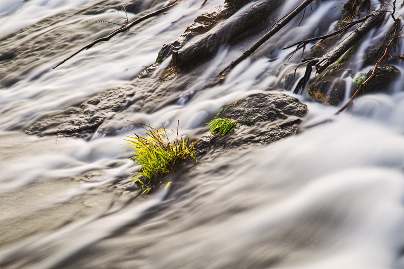 environment, motion, grass, nature, long exposure, green, surface level, flotsam and jetsam, 4K, beauty in nature, natural, flowing water, solid, tree