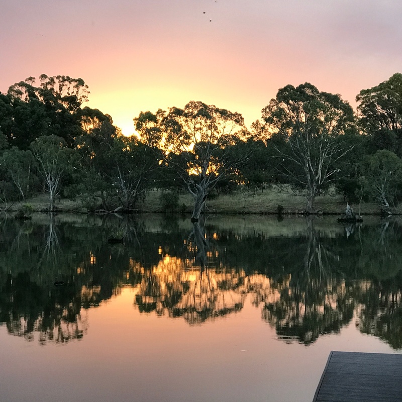 nature, tranquil scene, sunset, reflection, no people, tranquility, non-urban scene, orange color, 2K, victoria, beauty in nature, plant, idyllic, water