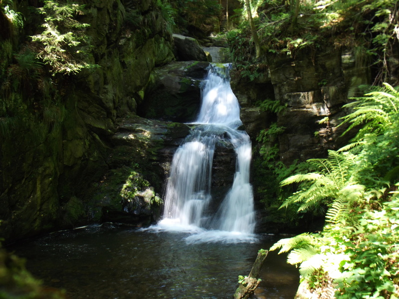 tree, River, falling water, waterfall, rock - object, Water, outdoors, running water, power in nature, Stream, motion, no people, rainforest, weir, Current