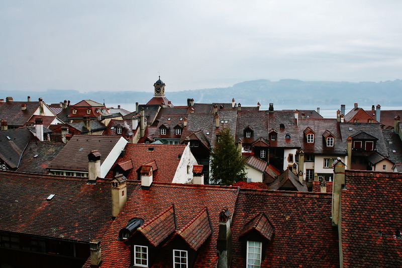 building, switzerland, place of worship, roofing, history, spire, city, old, roof tile, houses, rainy weather, day, roofs, town, residential district, nature