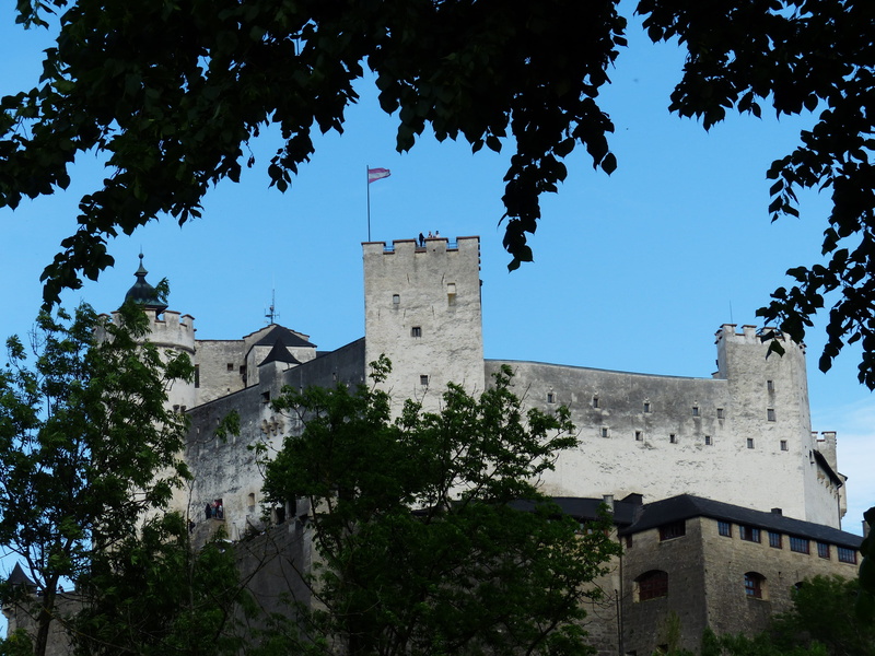 day, place of worship, plant, tree, building exterior, knights castle, sublime, nature, outdoors, enormous, fortress mountain, landmark, salzburg, old