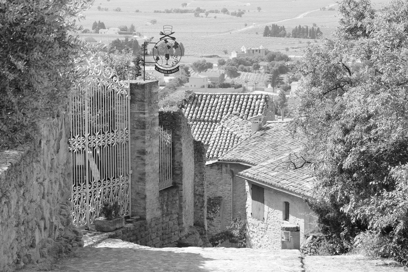 Châteauneuf, built structure, tree, the past, sunlight, clock, no people, black And White, water, old, building exterior, outdoors, time, battlements, growth