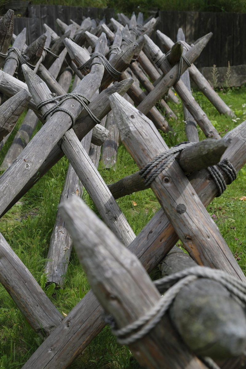timber, stolpen, castle, wooden post, wood - material, fence, ward, fortress, plant, saxony, wood, day, barrier, large group of objects, fend off, nature