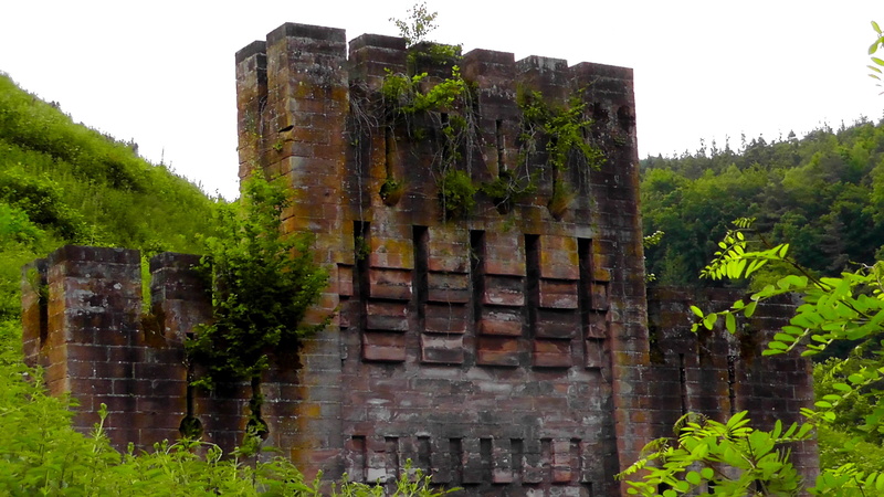 ruin, Building, tree, plant, abandoned, nature, damaged, deterioration, Brick, stones, Wall, building exterior, architecture, Old, sky, low angle view