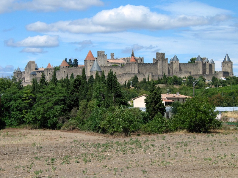 places of interest, stones, middle ages, tree, outdoors, knights castle, field, the past, carcassonne, imposing, architecture, france, built structure