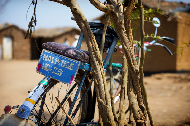 day, close-up, stationary, 5K, mode of transportation, old, sunlight, tire, cycle, street, pedal, transportation, branch, tree, western script, text, nalikule