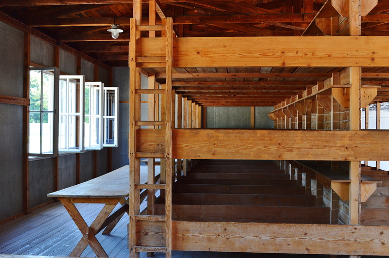 roof beam, empty, wood - material, history, bedded baracke, spiral, absence, built structure, sleeping room, konzentrationslager, window, mass murders