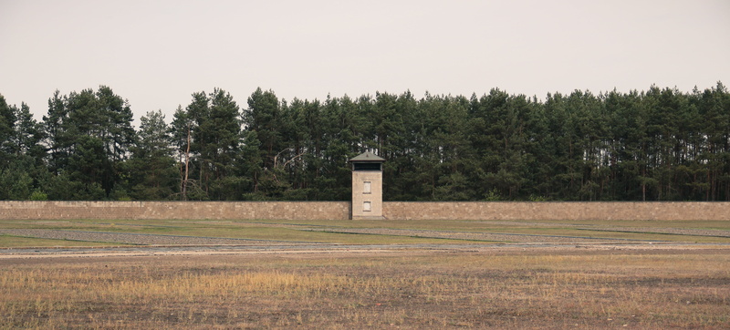 plant, day, watchtower, field, sky, scenics - nature, outdoors, communication, remote, forest, landscape, nature, land, tree, clear sky, tranquil scene