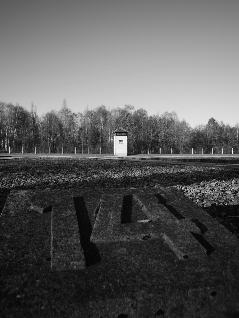 4K, tranquil scene, clear sky, places of interest, communication, tree, sign, nature, monument, dachau, germany, crime, land, environment, memorial, plant