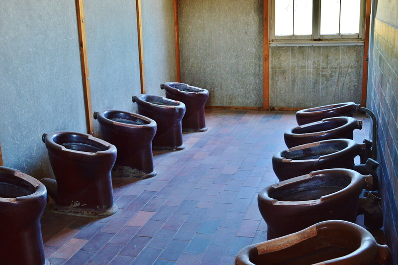 seat, konzentrationslager, crime, wall - building feature, tiled floor, building, no people, terrible, death, bad, architecture, 5K, in a row, kz, indoors